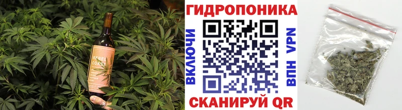 купить наркотики сайты  Грязовец  Печенье с ТГК марихуана 