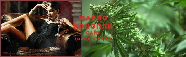 молекула духа Ростов