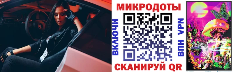Псилоцибиновые грибы прущие грибы  Грязовец 